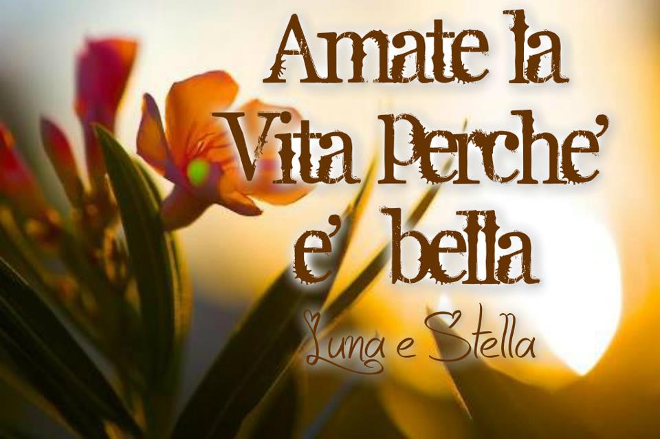 amate la vita xché è bella