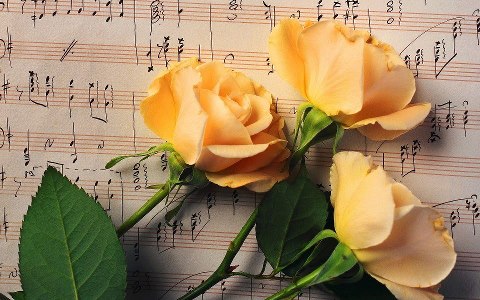 rose e musica